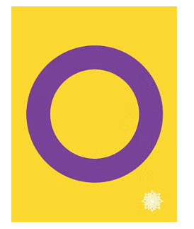 Intersex LGBTQIA+ Pride Flag Large Notebook