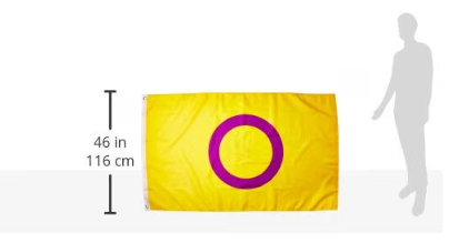 Flags Importer Intersex Pride - 3x5ft Polyester Pride Flag